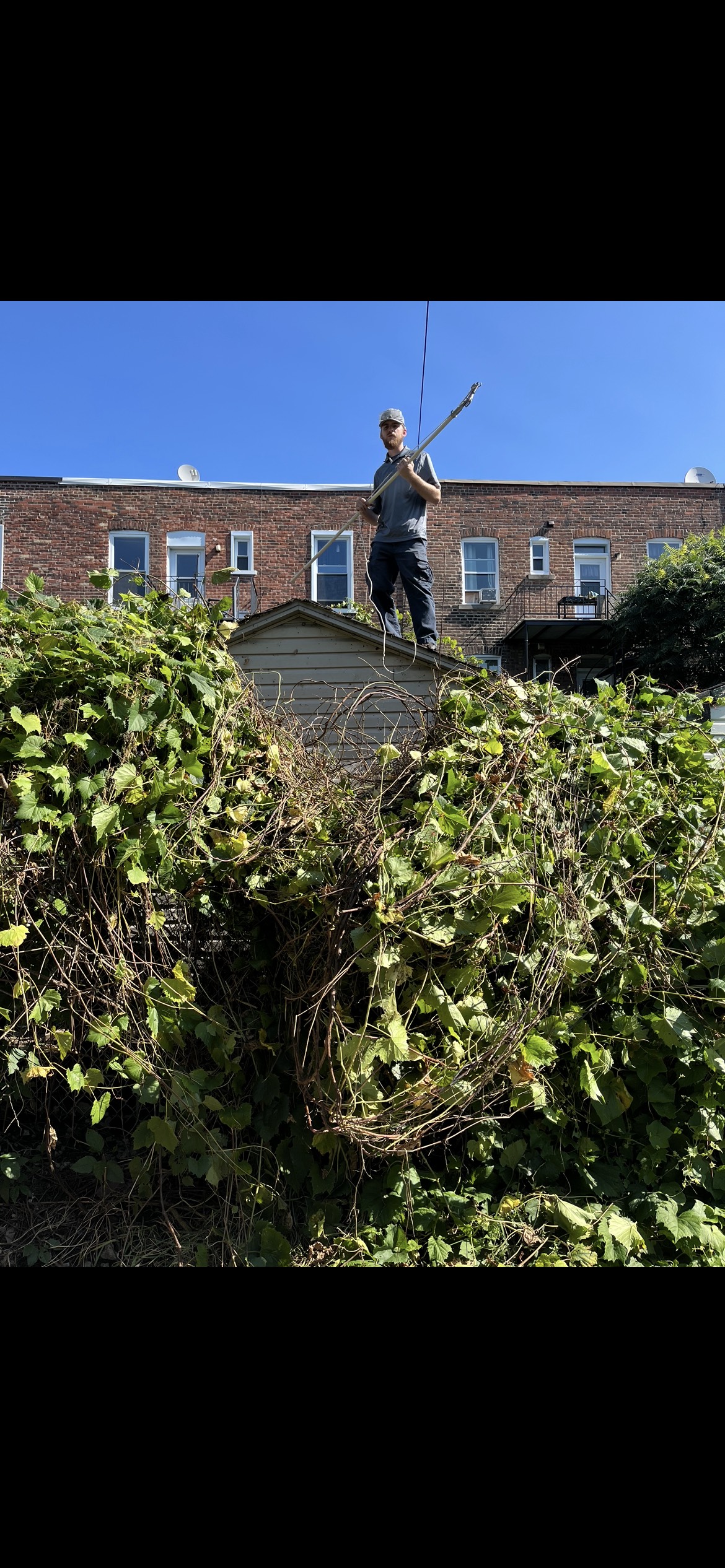 Montreal junk removal services before and after