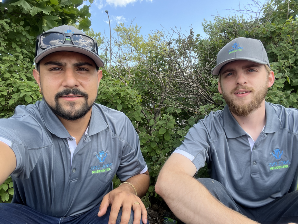 Anthony and James partners, over 5 years of experience, we do all your odd jobs
